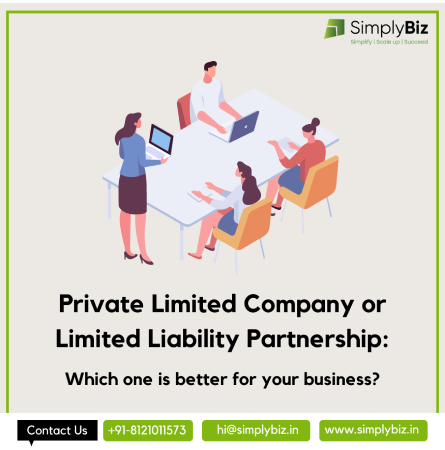 Private Limited Company or Limited Liability Partnership: Which one is better for your business